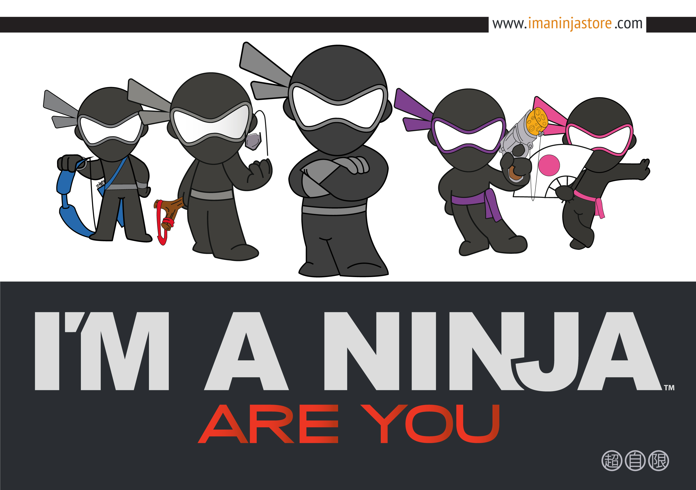 National Day of the Ninja - I'M A NINJA