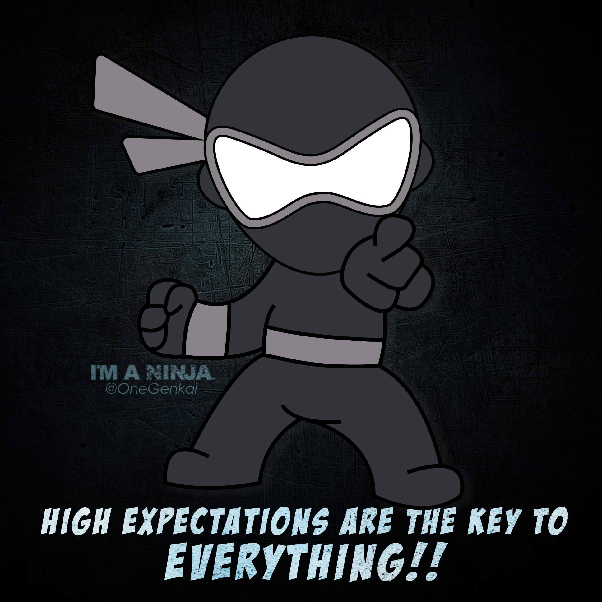 I'M A NINJA Ninja Quote - Expectations