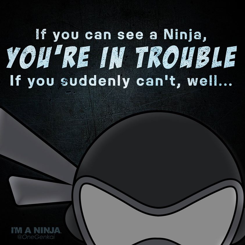 Ninja Tips x I'M A NINJA