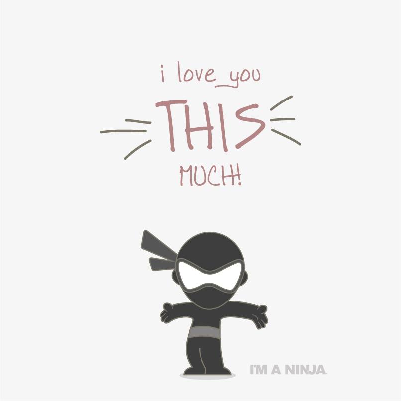I'm A Ninja Loves You