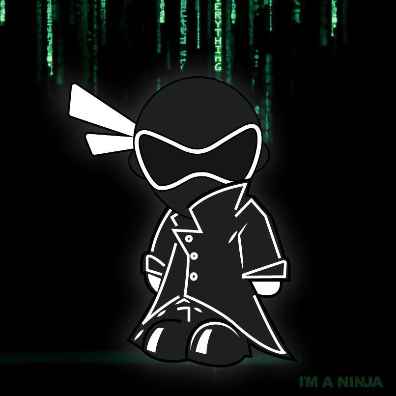 The Matrix x I'm a Ninja