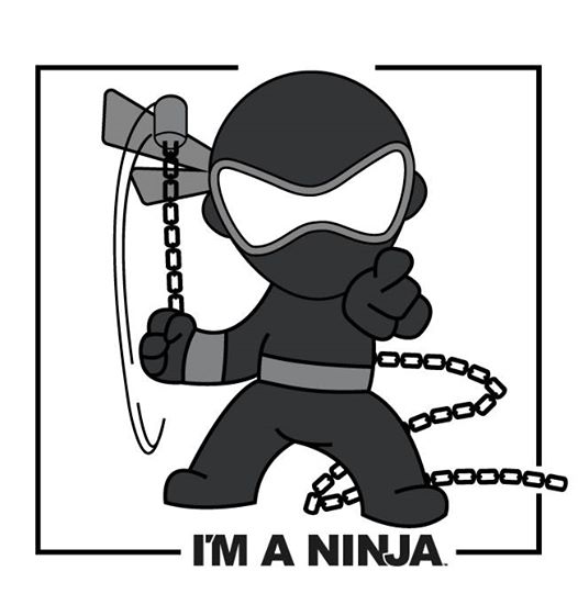 Strike A Pose, Then a Foe x I'M A NINJA