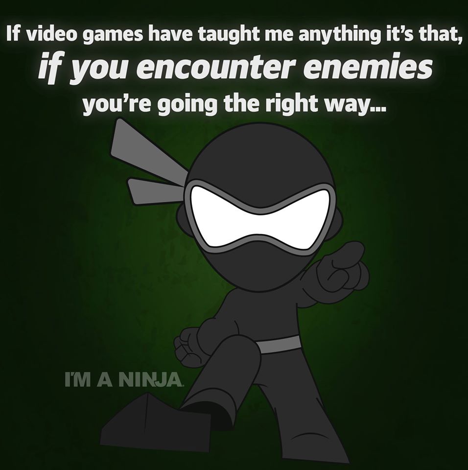 If Video Games Have Taught Me Anything x I'M A NINJA
