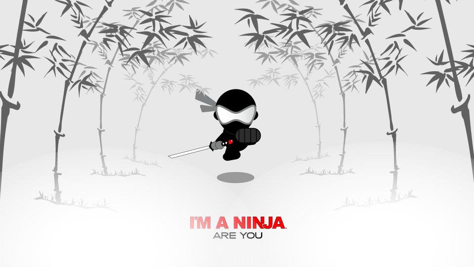I'M A NINJA wallpaper