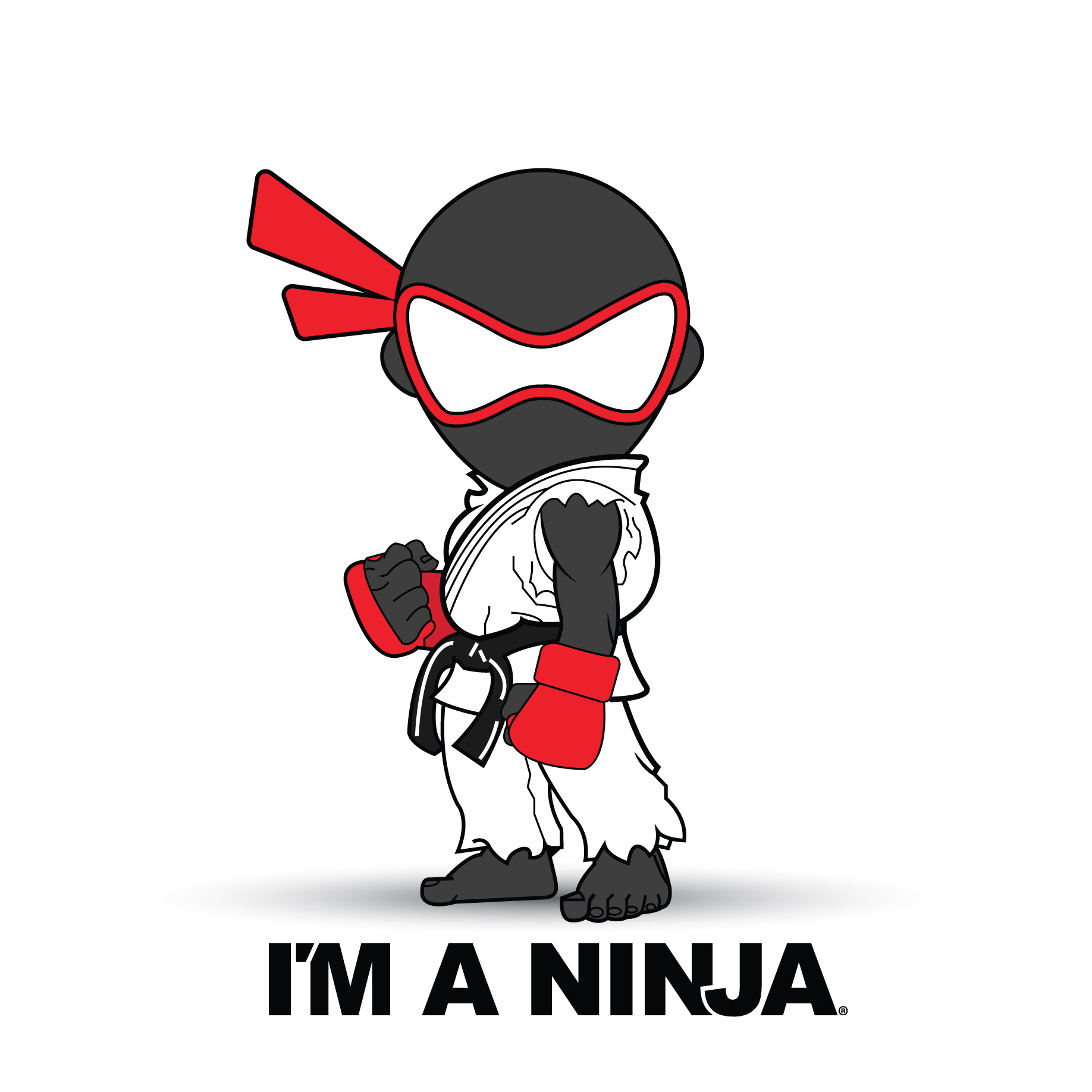 Ryu x I'M A NINJA