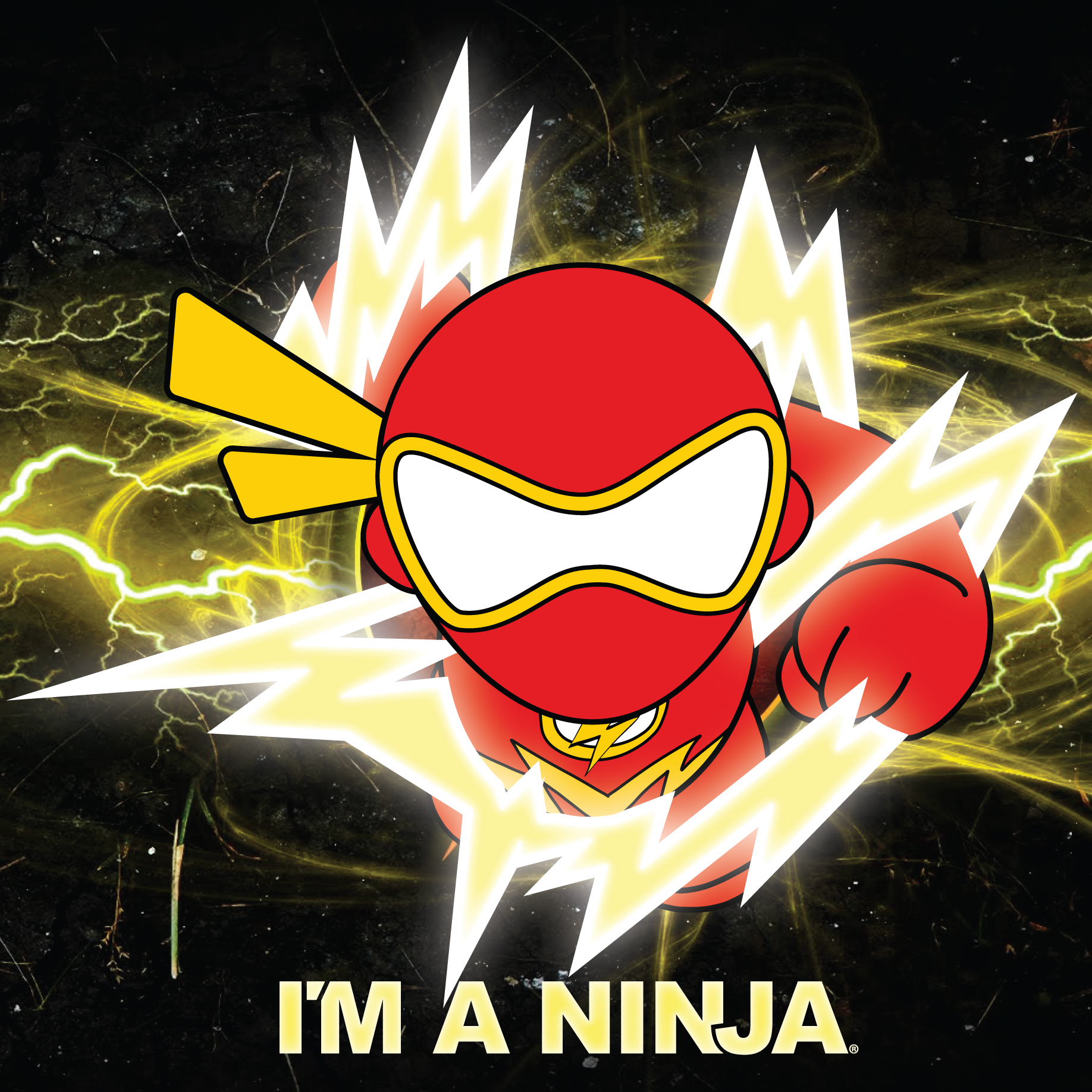 The Flash x I'M A NINJA